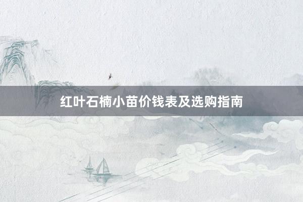 红叶石楠小苗价钱表及选购指南