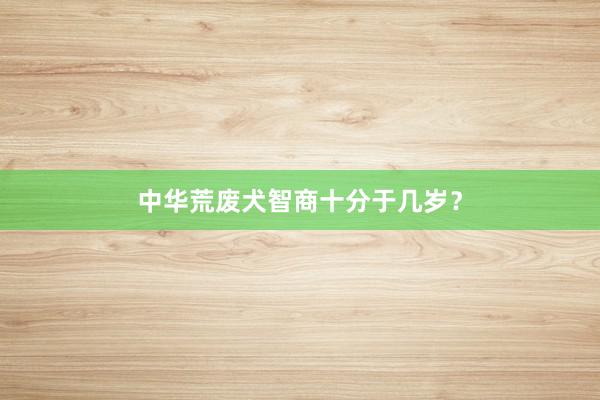 中华荒废犬智商十分于几岁？