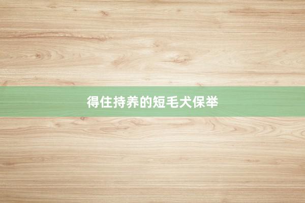 得住持养的短毛犬保举